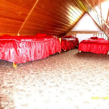 Bed & Breakfast Kot Chopina Koscielisko